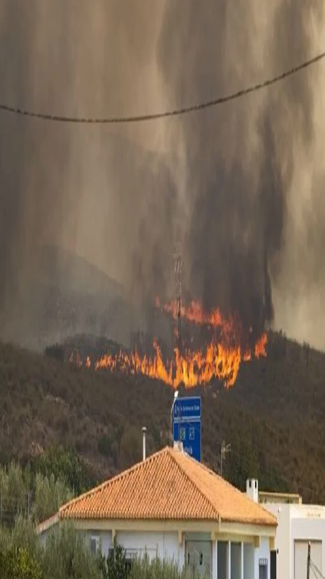 Spain Declares State of Emergency Amid Wildfires