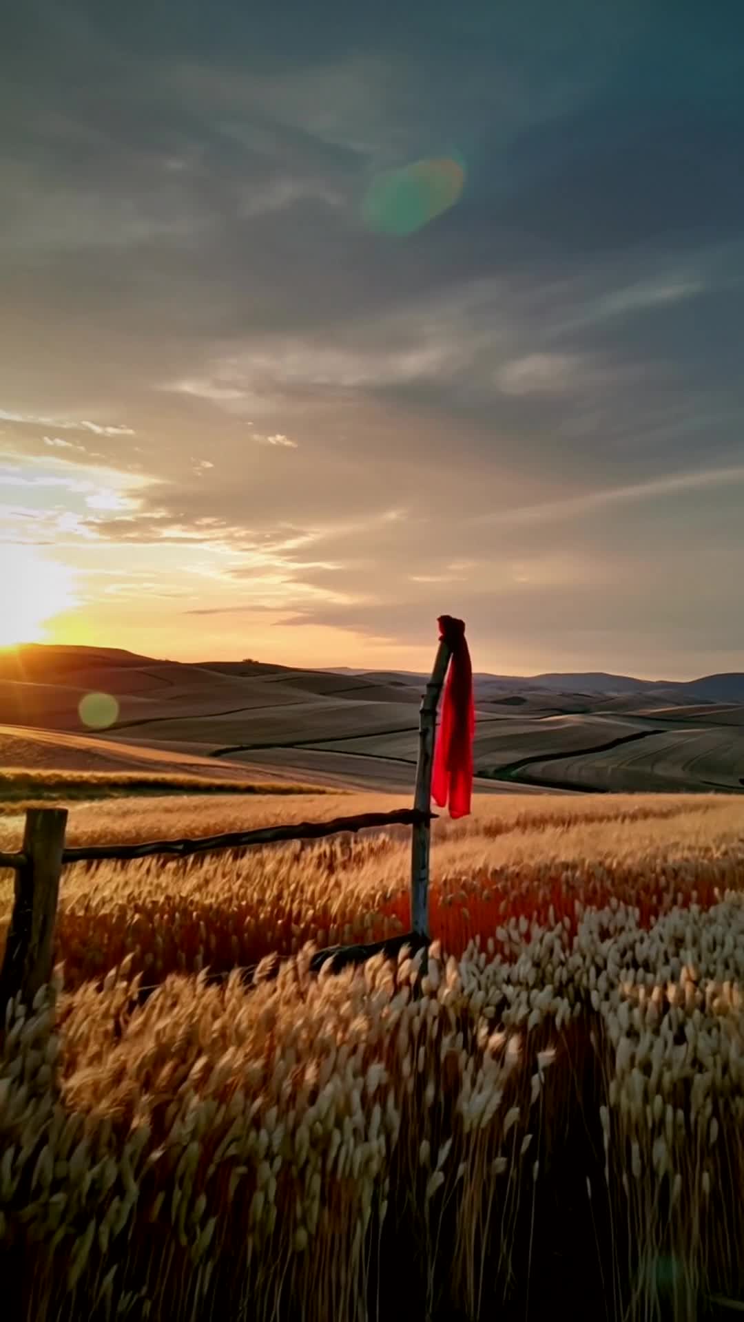 Yolda Yalnız Kuş | Turna Yaren